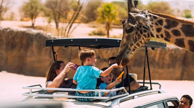 Al Ain Zoo